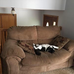 Meet your Posher, Shari